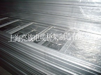 防火蘑菇视频免费看